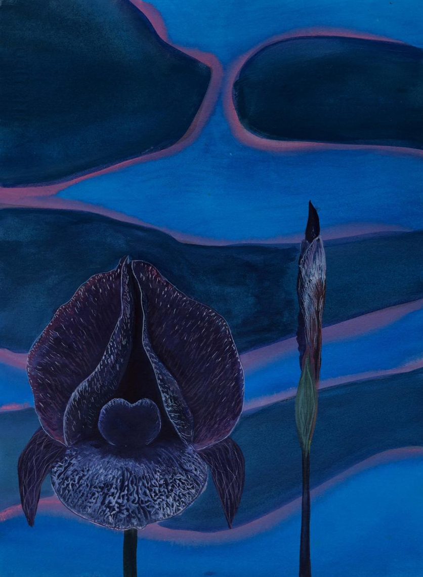 Painting by Nancy Diamond